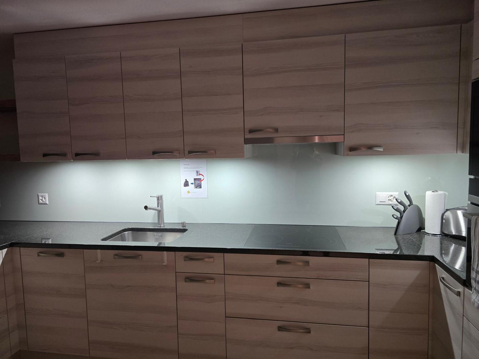 Harder Apartment - Aare Jungfrau Ag ヴィルダースヴィル エクステリア 写真